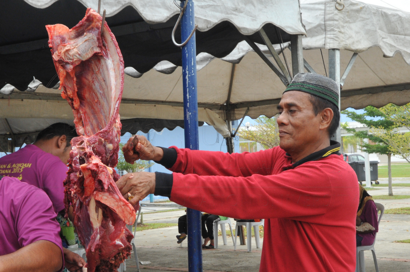 PRO15 150 KORBAN HAS 7019